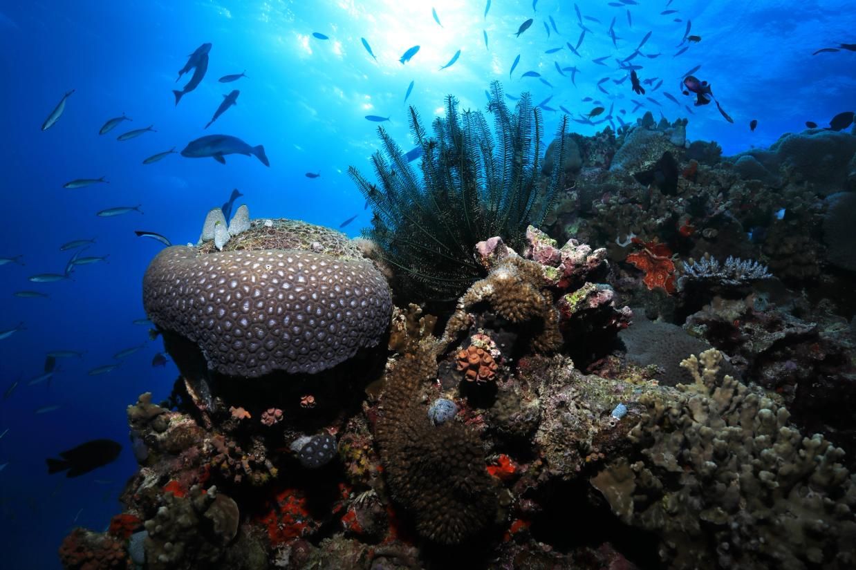 The Great Barrier Reef, Australia